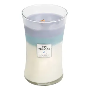 Bougie parfumée WoodWick Calming Retreat avec mèche en bois pour femmes