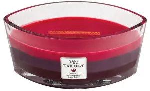Bougie parfumée WoodWick Trilogy Sun Ripened Berries avec mèche en bois 453,6 g