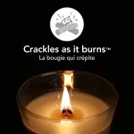 Bougie parfumée WoodWick Vanilla Bean avec mèche en bois 275 g
