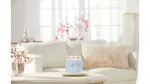 Bougie signature Yankee Candle Clean Cotton moyenne 368 g
