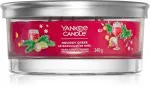 Holiday Cheer signature tumbler 5 mèches 340 g