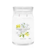 Midnight Jasmine bougie signature grande 567 g