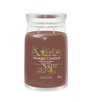 Yankee Candle Praline & Birch bougie signature grand modèle 567 g