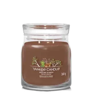 Yankee Candle Praline & Birch bougie signature moyenne 368 g