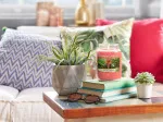 Bougie parfumée Yankee Candle The Last Paradise 411 g