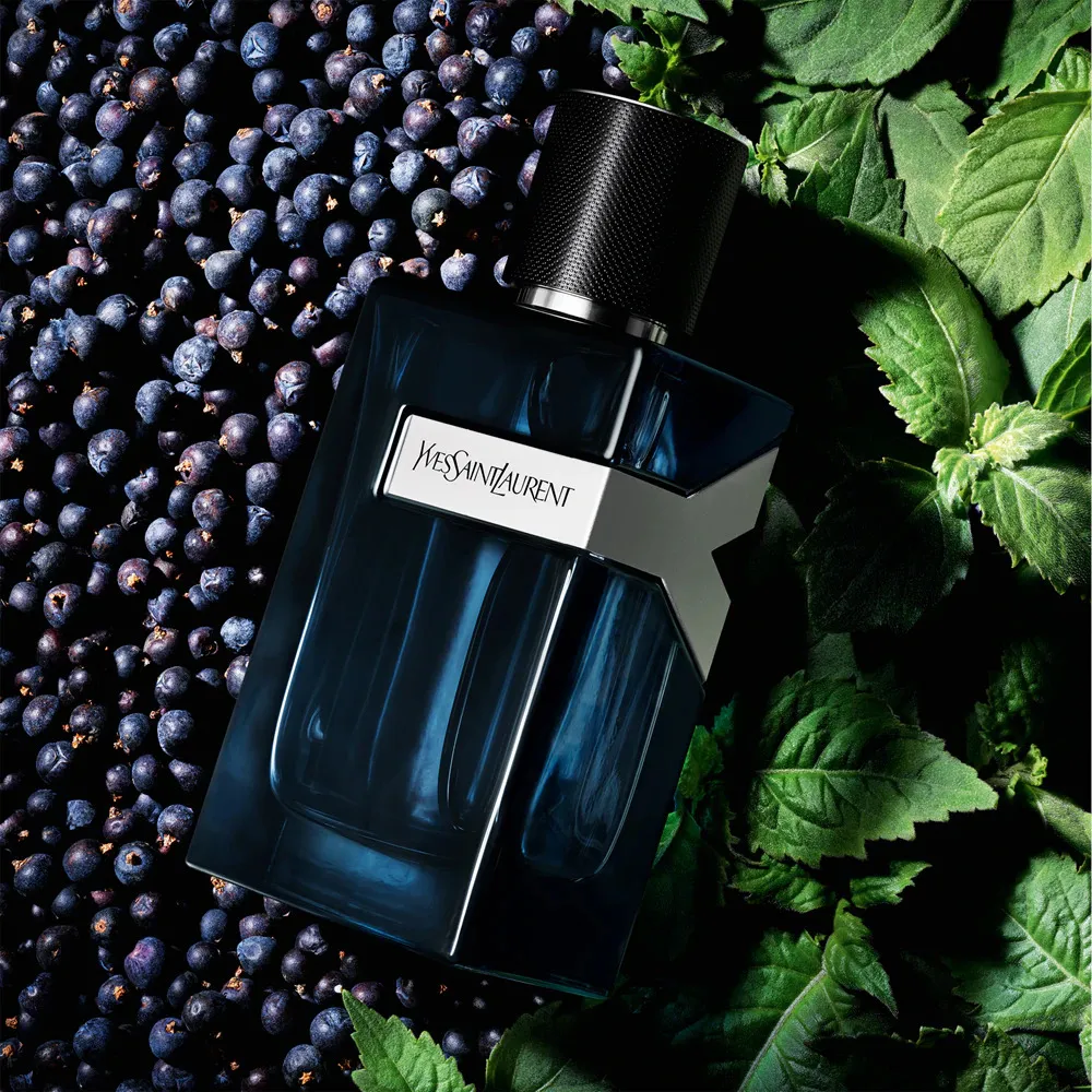 Eau de parfum intense pour hommes Yves Saint Laurent Y 60 ml
