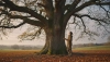 Ce qu'un seul arbre nous apprend sur le rythme de la nature et de la vie
