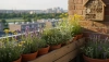 # Pourquoi les abeilles sont-elles importantes et comment les aider sur votre balcon