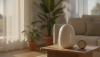 Humidificateur ou déshumidificateur, ou quand choisir lequel