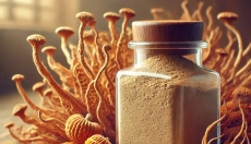 Le secret du cordyceps pour l'énergie et la longévité