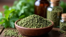 Comment utiliser correctement les graines d'ortie pour votre santé