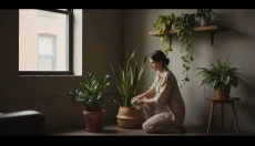 # Které pokojové rostliny zvolit do tmavších bytů

# Quelles plantes d'intérieur choisir pour les ap