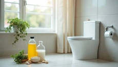 La pierre d'urine dans les toilettes est un problème que vous pouvez facilement résoudre.