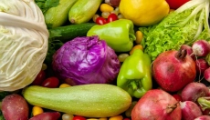 Digestion saine grâce aux enzymes pancréatiques